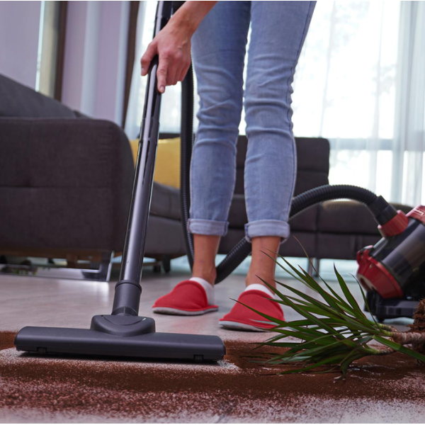 Прахосмукачка без торба ECO Rosberg, 800W CICLON